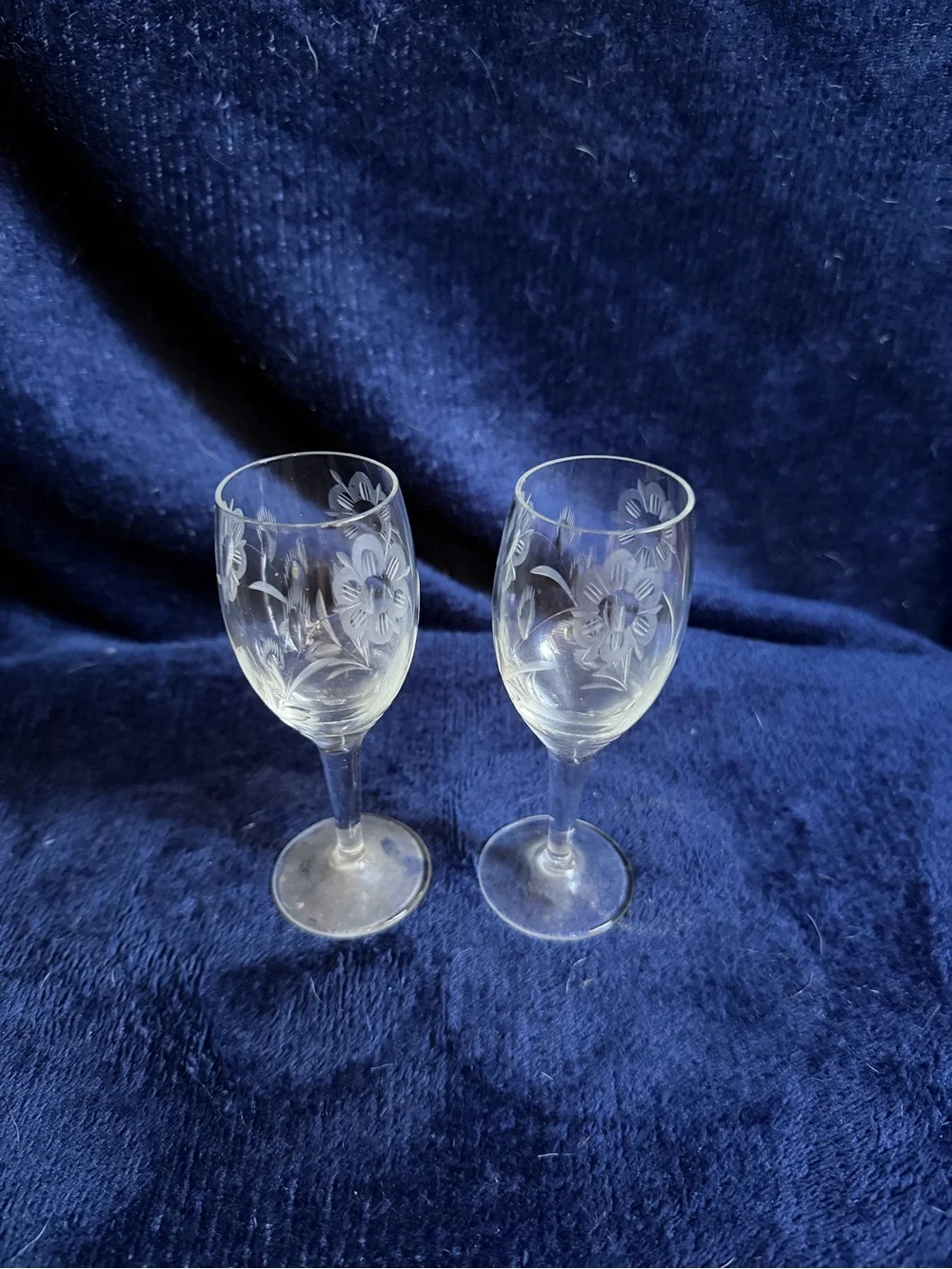 Etched Floral Crystal Wine Glasses - Clear (Set of 2)
